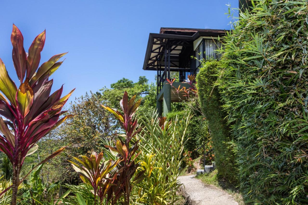 Tiki Villas Rainforest Lodge - Adults Only Uvita Luaran gambar
