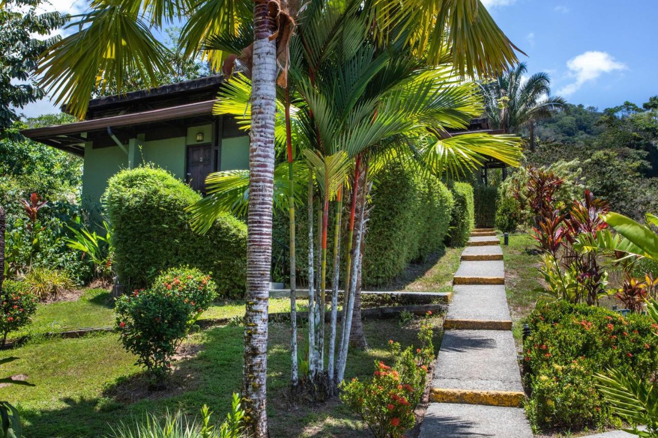 Tiki Villas Rainforest Lodge - Adults Only Uvita Luaran gambar