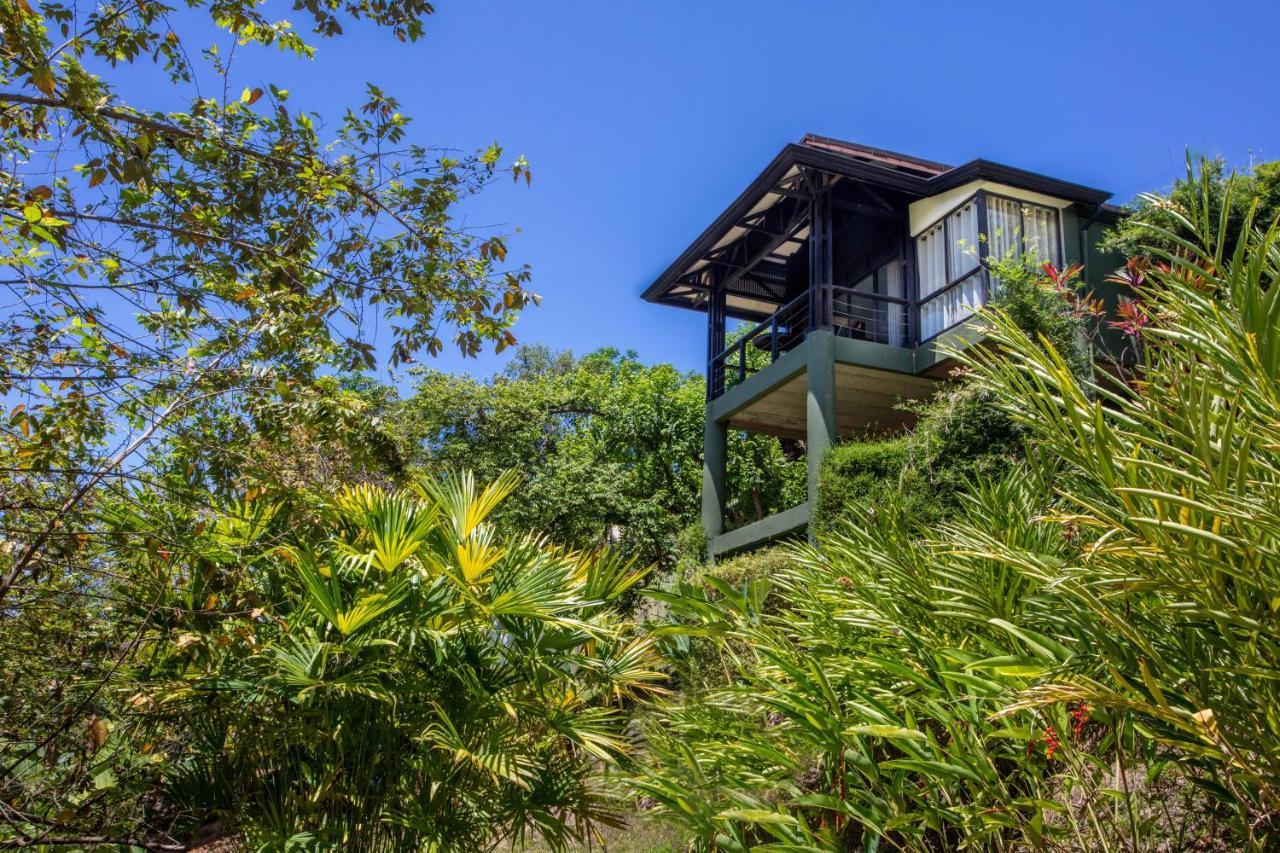 Tiki Villas Rainforest Lodge - Adults Only Uvita Luaran gambar